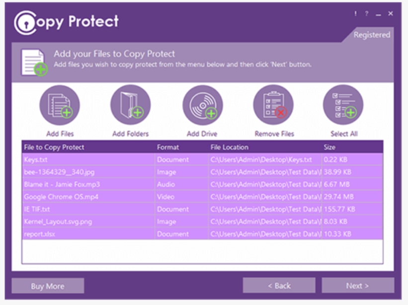 Download Copy Protect Latest Version For Windows Filehippo